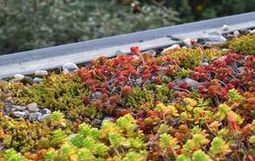 the cost of Skellow green roof installation