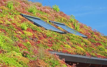 Skellow living roof systems